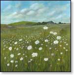 A Field of Daisies